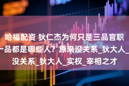 哈福配资 狄仁杰为何只是三品官职，那么二品和一品都是哪些人？原来没关系_狄大人_实权_宰相之才