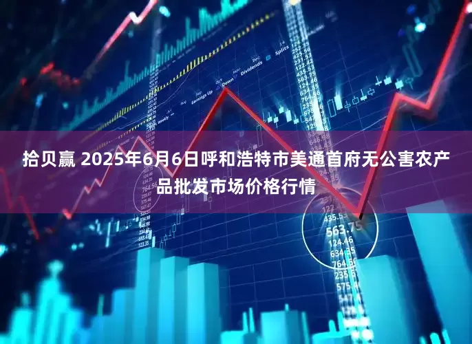 拾贝赢 2025年6月6日呼和浩特市美通首府无公害农产品批发市场价格行情